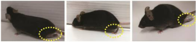 氫氣吸入和氫鹽水注射效果哪個(gè)強(qiáng) 氫氣醫(yī)學(xué)研究的重點(diǎn)在疾病治療效果確定性 氫氣吸入和氫鹽水注射效果哪個(gè)強(qiáng) 氫氣醫(yī)學(xué)研究的重點(diǎn)在疾病治療效果確定性