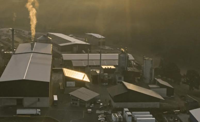 西門(mén)子8.75MW 文西德?tīng)柧G氫工廠(chǎng)投產(chǎn).jpg