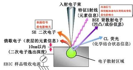 圖2入射電子束在樣品中激發出的各種信號.jpg