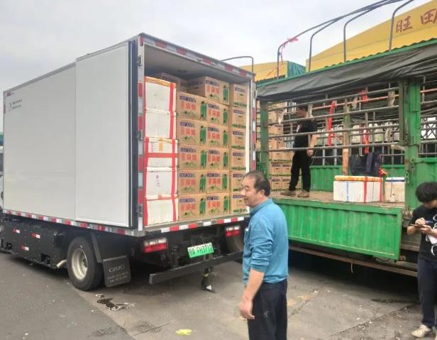 氫能助農!國家電投氫能輕卡在佛山農產品交易中心投運.jpg 氫能助農!國家電投氫能輕卡在佛山農產品交易中心投運.jpg