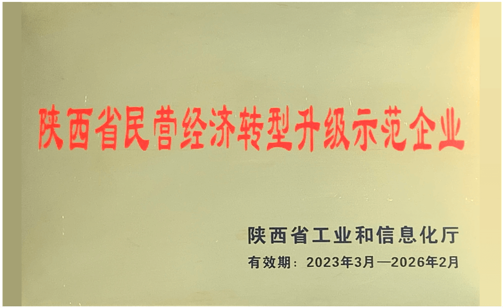 陜西省民營經濟轉型升級示范企業.png