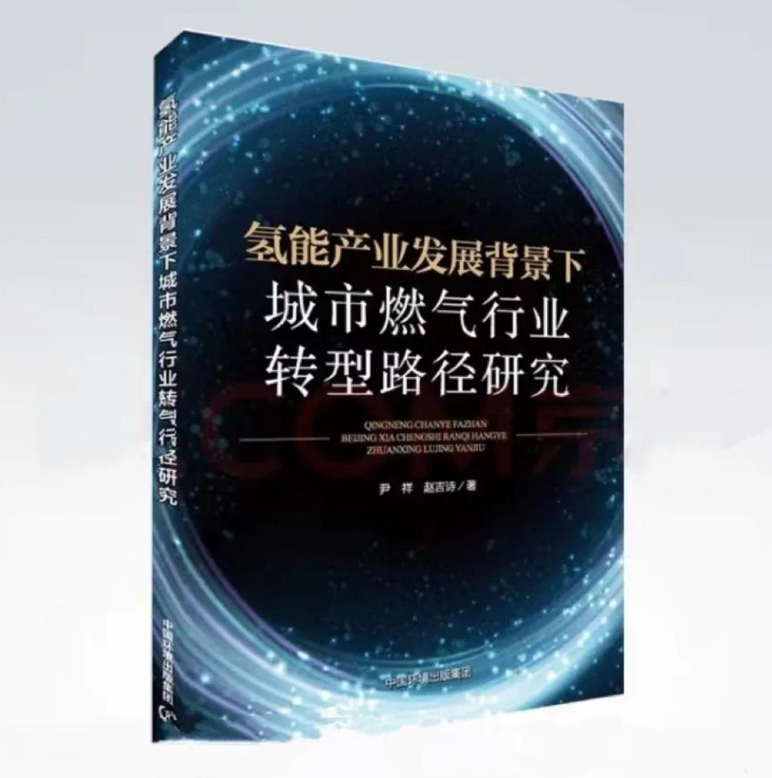 氫能產業發展背景下城市燃氣行業轉型路徑研究.jpg